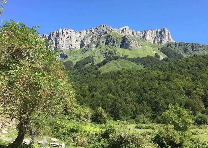 Avec Terrasse Pour 6 Pers. A - Api-1-52-497 Kemp Gurmençon